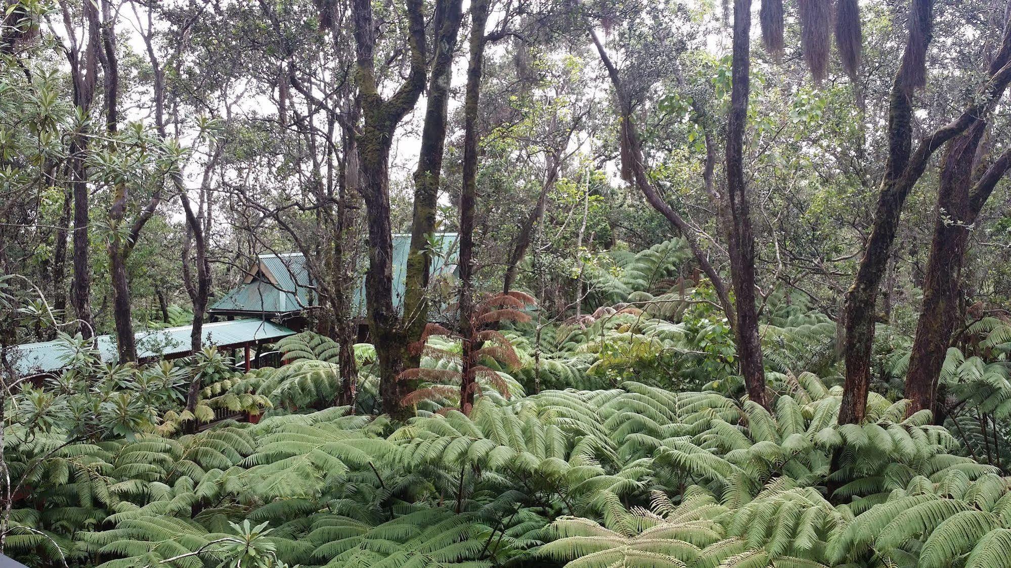 The Guest Cottages @ Volcano Acres Tree House Bagian luar foto